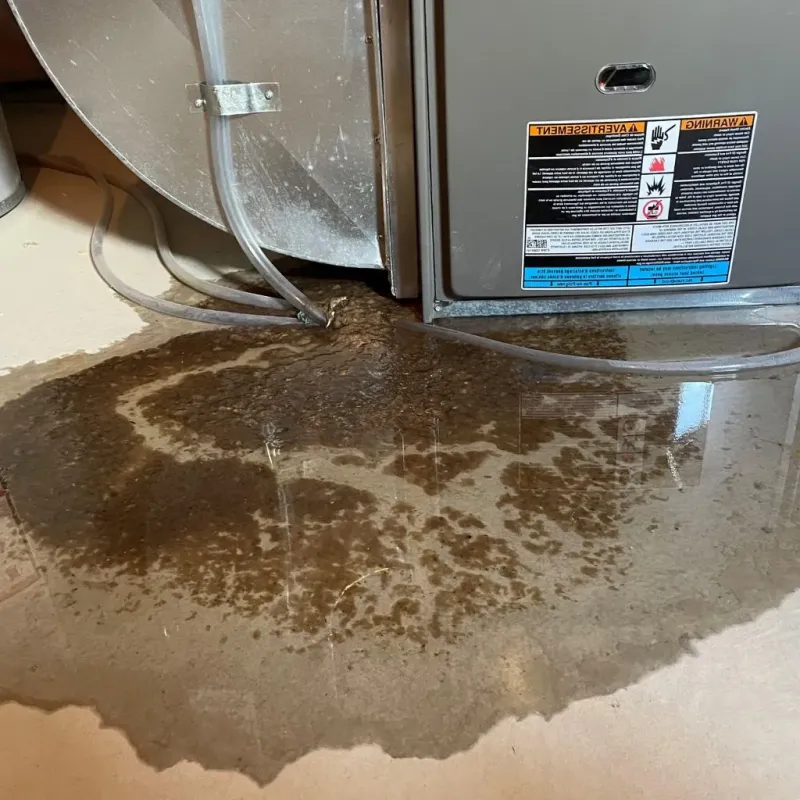 Pipe Burst and Leak Restoration in Federalsburg, MD